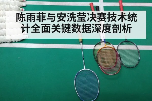 陈雨菲与安洗莹决赛技术统计全面关键数据深度剖析