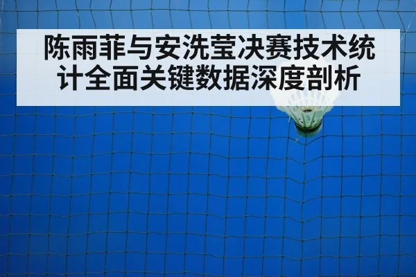 badminton net play